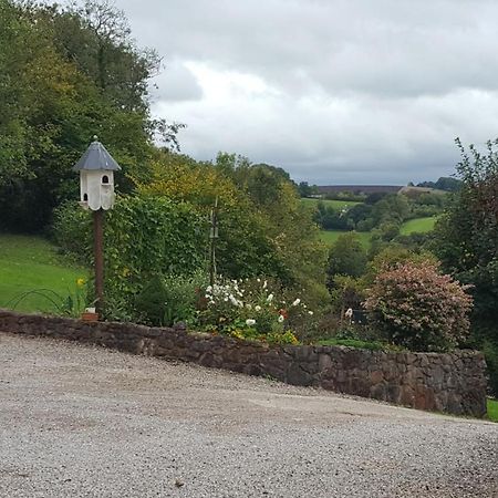 Immaculate 1-Bed Lodge Newton Abbot Torquay Kingskerswell 외부 사진